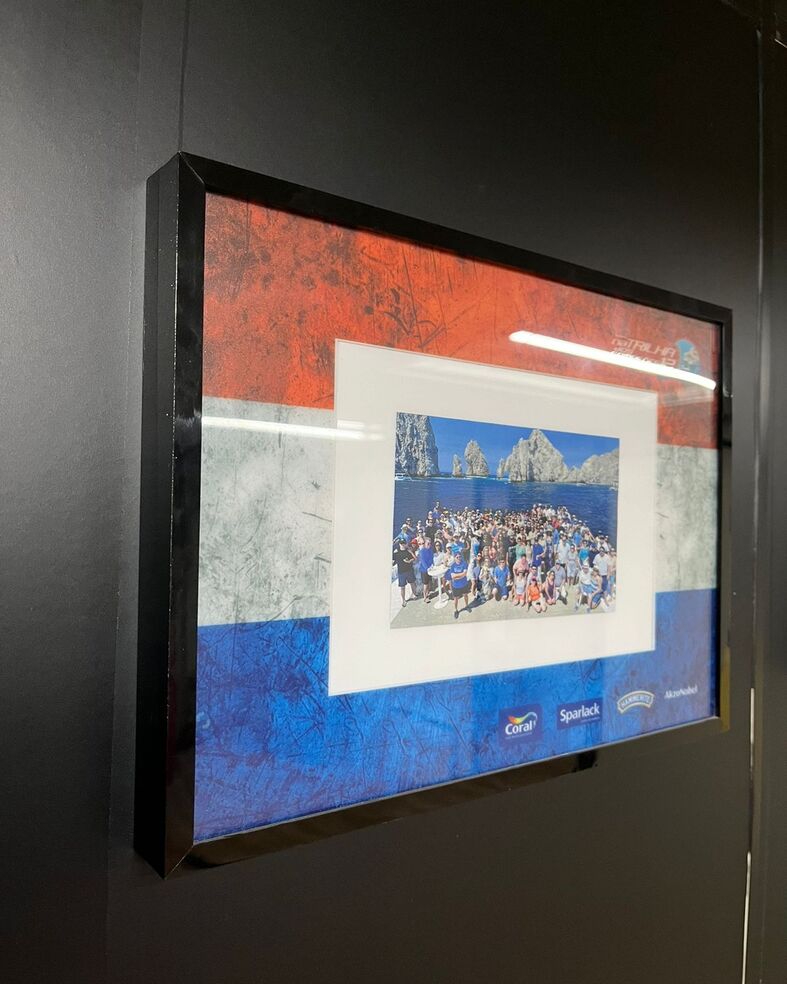 cf774a94-7049-4f9a-80d8-73f8d5d7